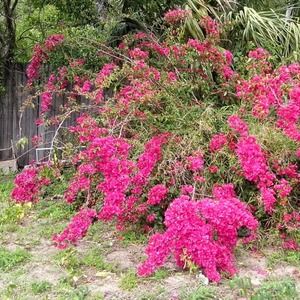 Meet your Posher, Mervyn